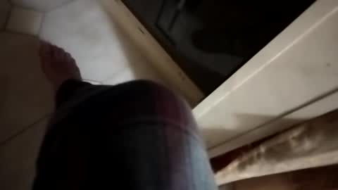 dthedog12 online show from 11-06-25, 12:55