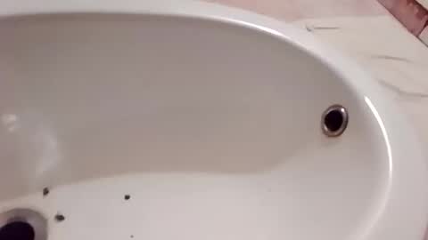 dthedog12 online show from 01-10-26, 08:21