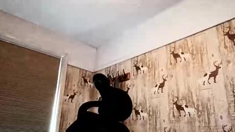 dulac81 online show from 09-19-25, 09:54