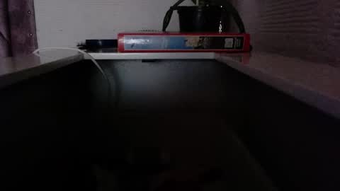 Snapshot of dulce_smith02 chatting on 11-24-25, 05:23 dulce_smith02 online show from 11-24-25, 05:23