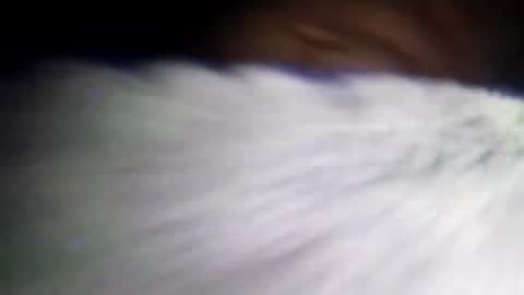 duvanarleyy online show from 10-16-25, 06:36