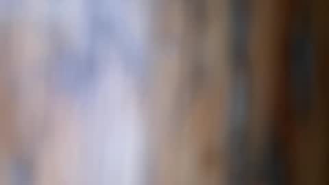 dVe1oPe online show from 11-26-25, 09:54