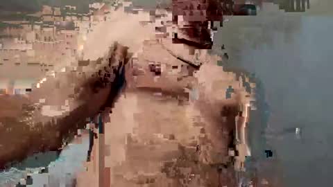 dvsshoes12 online show from 10-12-25, 11:26