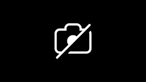 dylp400 online show from 10-15-25, 12:49