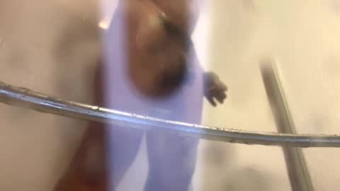 easternjerk online show from 10-20-25, 12:00