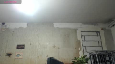 Alexander online show from 12-22-24, 04:59