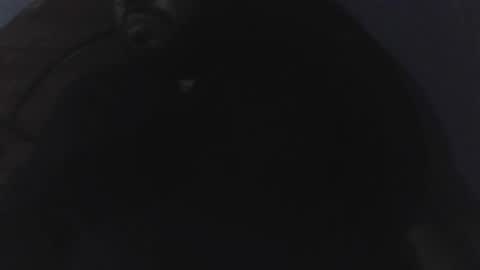 edu4394 online show from 03-23-26, 02:37