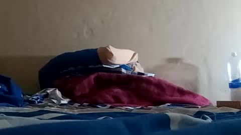 Snapshot of el131140 chatting on 01-05-25, 07:17 Sebastin online show from 01-05-25, 07:17