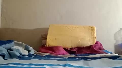 Snapshot of el131140 chatting on 10-31-25, 10:16 Sebastin online show from 10-31-25, 10:16