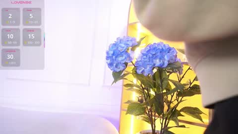 Elasummeer online show from 11-19-25, 11:43