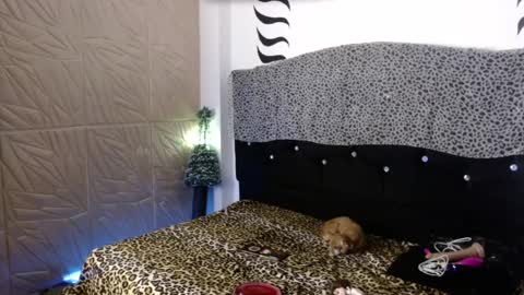 ELEKTRA  hii my birthday is tomorrow but I will celebrate it on Sunday Ill wait for you online show from 12-31-24, 04:16