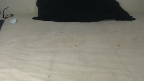 elgsslt online show from 10-20-25, 10:49