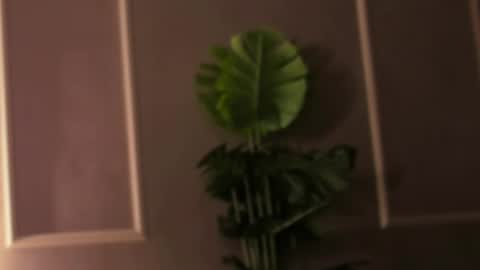 Snapshot of eli_llie chatting on 02-18-25, 04:48 Eli online show from 02-18-25, 04:48