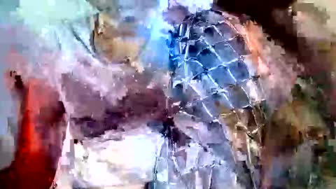 elina_roy03 online show from 11-06-25, 07:31