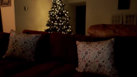 Elinah online show from 12-02-25, 10:53