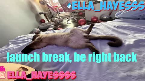 Snapshot of ella_hayes chatting on 01-07-25, 12:45 Ella NEXT STREAM 1TH DECEMBER 1200 - 0800 AM AT MOSCOW TIME online show from 01-07-25, 12:45