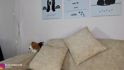 Snapshot of ellegisellee chatting on 02-06-25, 02:00 Yiss online show from 02-06-25, 02:00