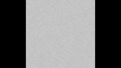 Ellie online show from 11-02-25, 09:11