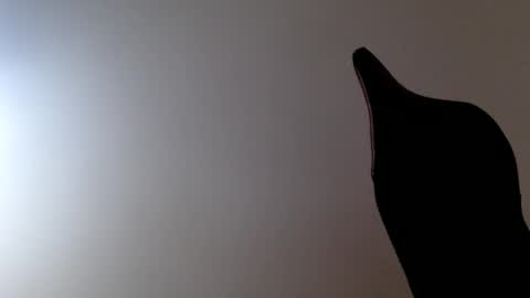 elosocazador online show from 12-19-25, 08:27