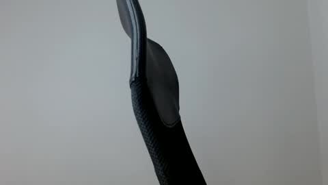 Snapshot of elosocazador chatting on 01-16-26, 12:31 elosocazador online show from 01-16-26, 12:31