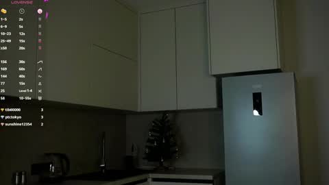 Sophie online show from 02-12-25, 04:55