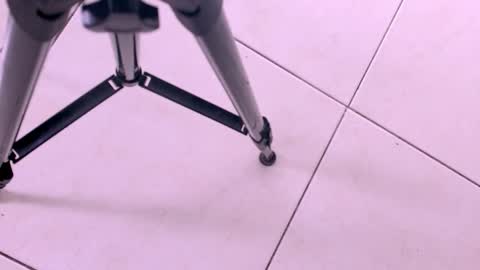 emily_castillo1_ online show from 11-18-25, 03:23