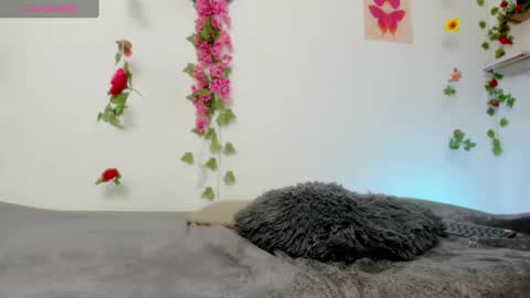 Snapshot of emily_coraline chatting on 02-06-25, 06:35 Emily online show from 02-06-25, 06:35