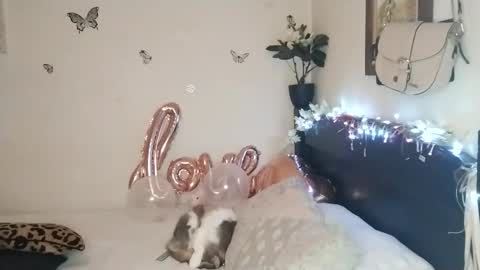 Valentina independent model online show from 11-25-25, 02:33