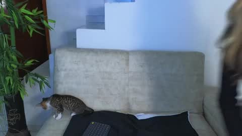 Emma Blue  modelo independiente online show from 10-28-25, 04:05