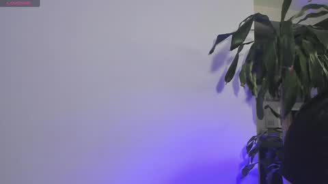 Emma online show from 12-19-24, 02:24