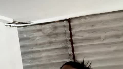 whises lits        online show from 12-11-24, 09:45