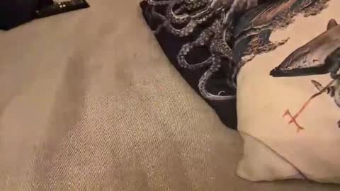 erosforcouples online show from 10-30-25, 11:27