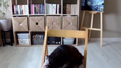 Melissa   online show from 10-01-25, 11:49