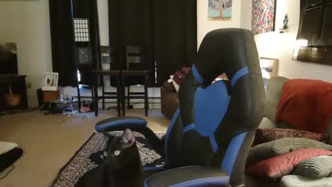 EroticSiren2 online show from 02-05-25, 09:18