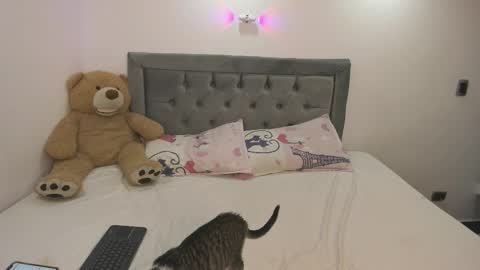 estehefany_gil online show from 01-08-26, 01:08