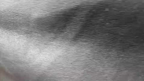 greetings  sergi  online show from 11-30-25, 06:56