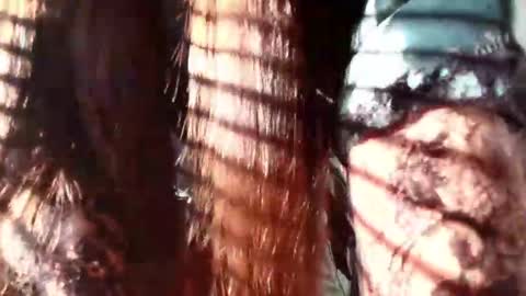 Evaa Depp online show from 01-22-25, 12:27