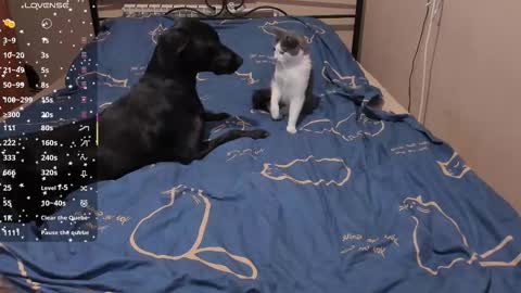 Snapshot of eva_zero chatting on 03-03-26, 02:01 Eva online show from 03-03-26, 02:01