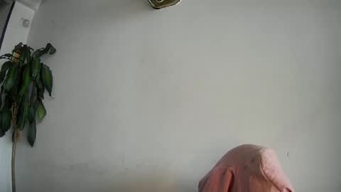 evacollins12 online show from 02-15-25, 07:50