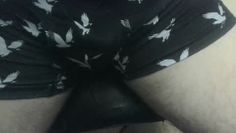 evolite_ online show from 12-27-24, 06:42