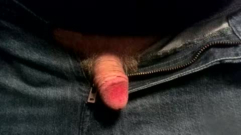 evolite_ online show from 11-19-25, 06:13