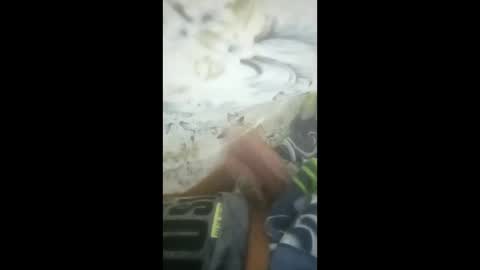 eypqrpyisagh online show from 03-25-26, 08:26