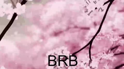 Anna Scovich online show from 10-10-25, 01:43