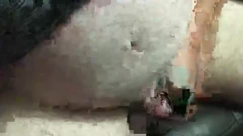 fatdaddy4you online show from 09-20-25, 03:35