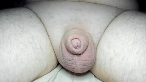 Snapshot of fatmanscock chatting on 02-13-25, 02:34 Fatmanscock online show from 02-13-25, 02:34