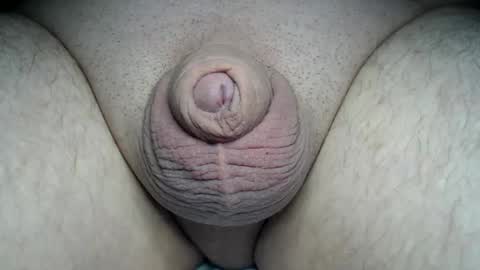 Fatmanscock online show from 03-01-26, 12:56