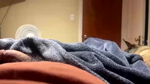 fatz71056 online show from 12-23-25, 08:56