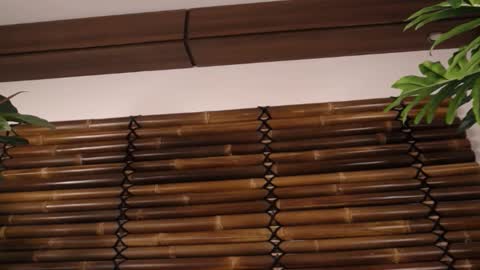 Fayeslate online show from 11-20-25, 05:51