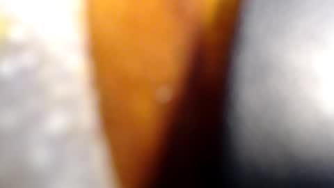 fckyariangel online show from 01-10-26, 02:46