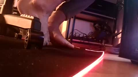 feetishman91 online show from 03-27-26, 06:18